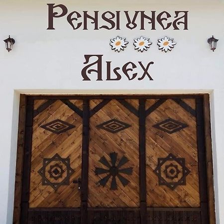 Pensiunea Alex Marga Buitenkant foto