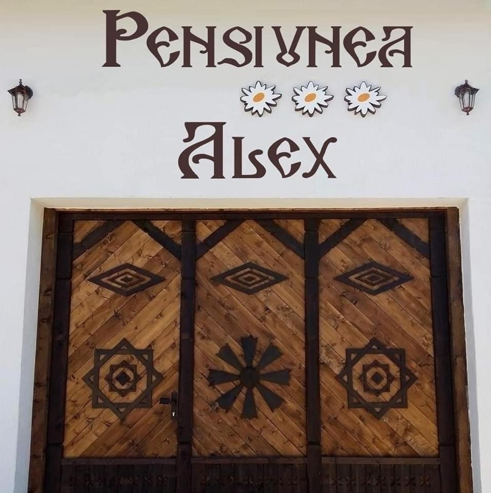 Pensiunea Alex Marga Buitenkant foto
